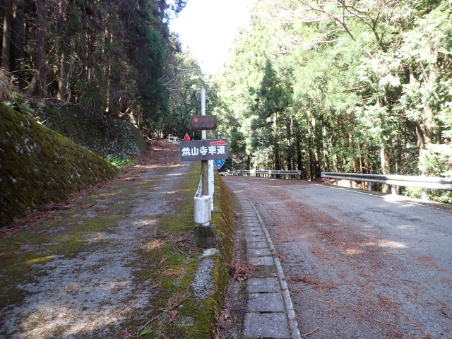 車道と分れます。