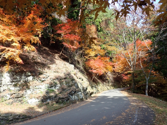 途中車道を横切ります。