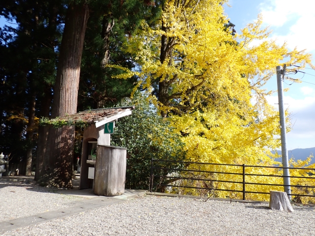 秋を満喫しながら食事（おにぎり）をしました。遠くの山の稜線には風車が見えます。