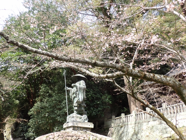 ３月30日、すこし桜が開花しています。