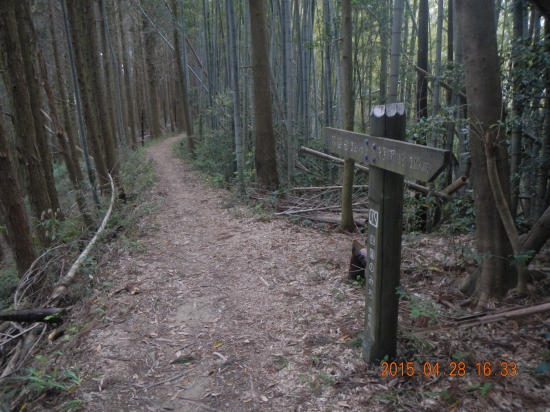 大根峠の遍路道