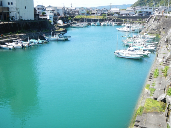 津照寺近くの漁港   