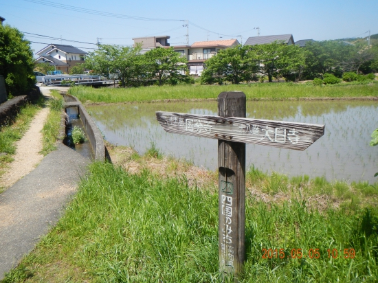 国分寺へのお遍路道