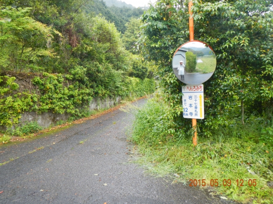 国道を歩くのはやめて遍路道に行く。カーブミラーに注意♪