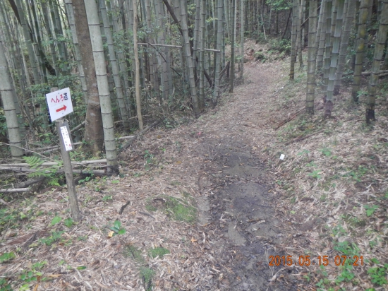 延光寺前の遍路道