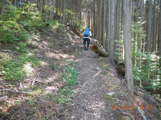 遍路道を歩く♪   前のＫさんは６５歳!! 速い!!