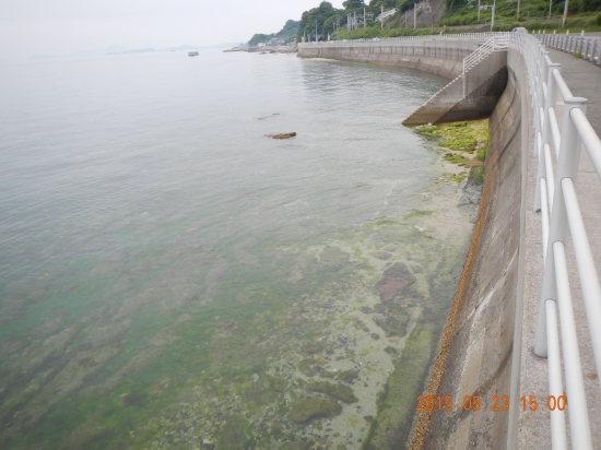 海が綺麗だ!!