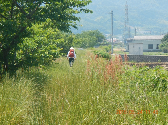 前を歩く遍路さんは７５歳だって!!