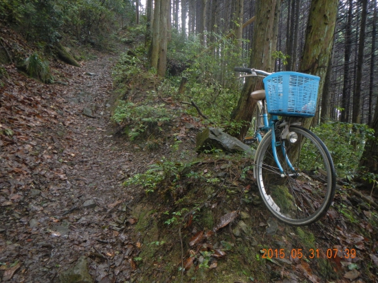 遍路道途中に自転車が放置している