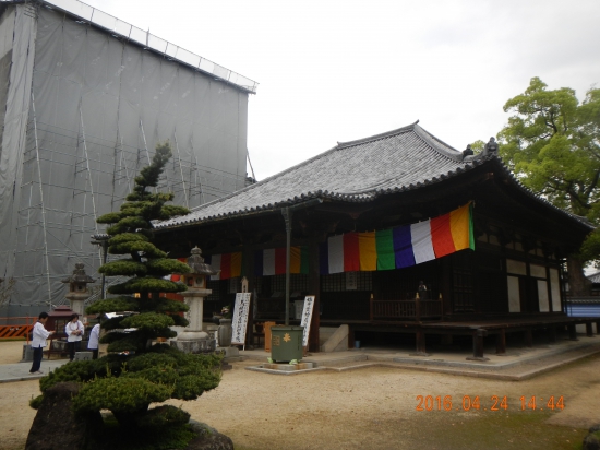 ７０番本山寺 本堂横の五重塔は工事中です。