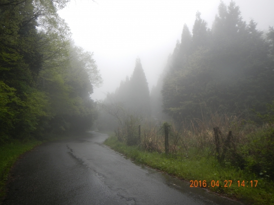 仙龍寺から三角寺への途中で霧が出てきた(*_*)