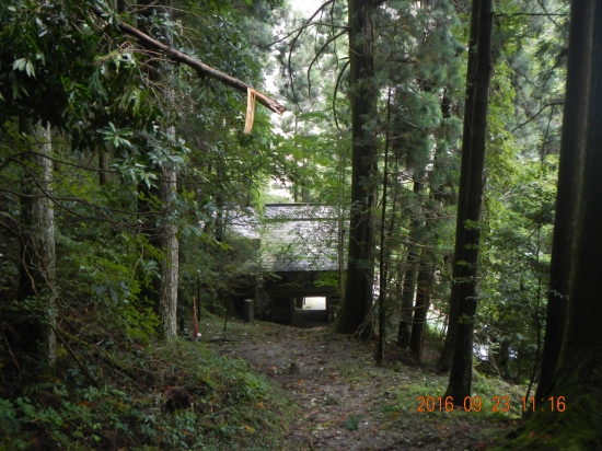 ４５番岩屋寺の山門が見えた♪