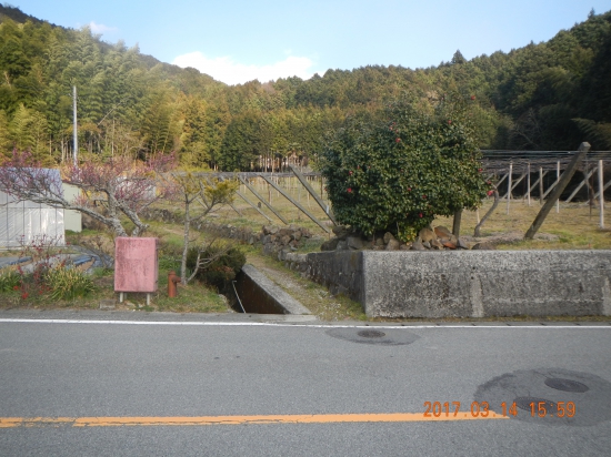 龍光寺までの遍路道入口(順うちの場合は出口)