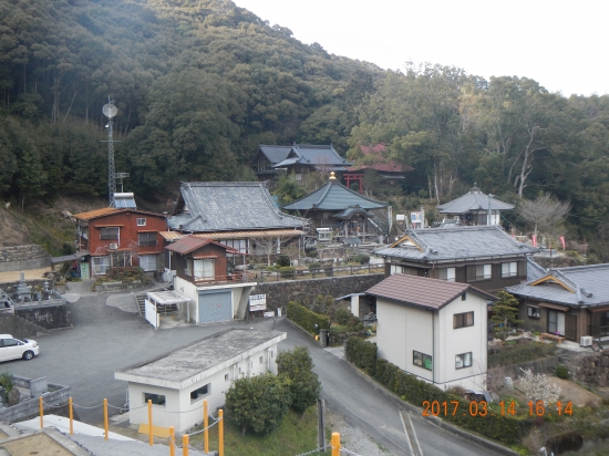 龍光寺が見える!!