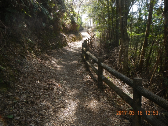 遍路道を歩き