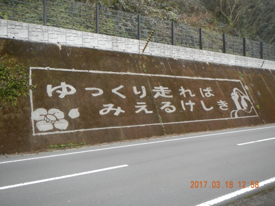 道路の側壁に書いてあったので!?