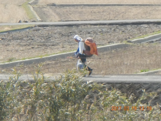 大きなリュックのお遍路さん