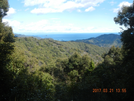 そえみみず遍路道から土佐湾を望む