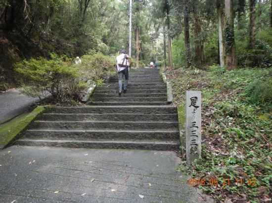 １０番切幡寺本堂まで後３３３段!!