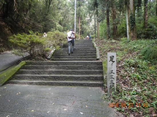 １０番切幡寺本堂まで後３３３段!!