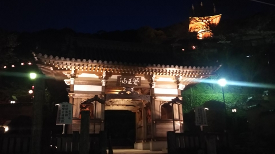 夜の薬王寺(スマホ使用)