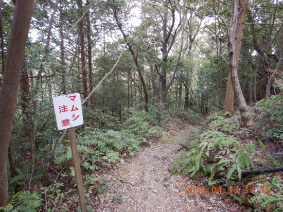 下りの遍路道で