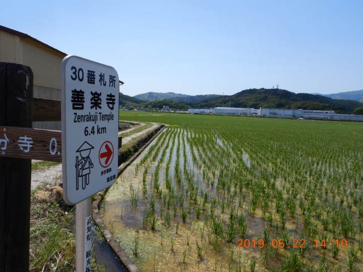 善楽寺への遍路道 １