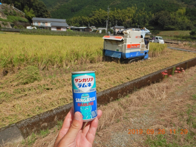 農作業している男性からお接待いただきました♪