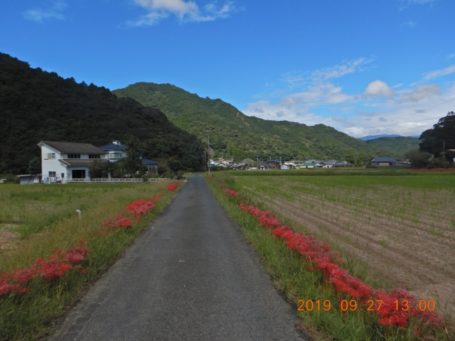 国道まで後５００m