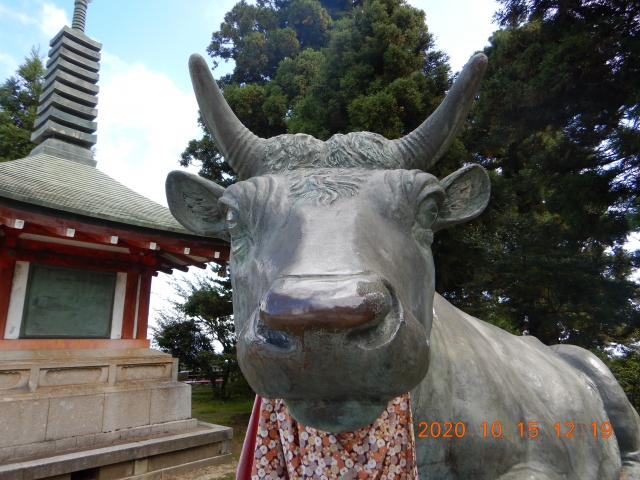 出石寺にて