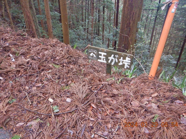 遍路道の玉が垰（たまがたお）を通過