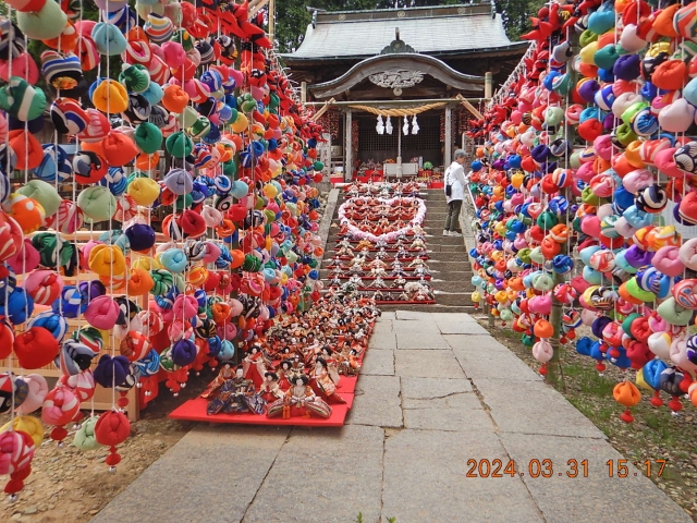 宿の隣の坂本八幡神社にて