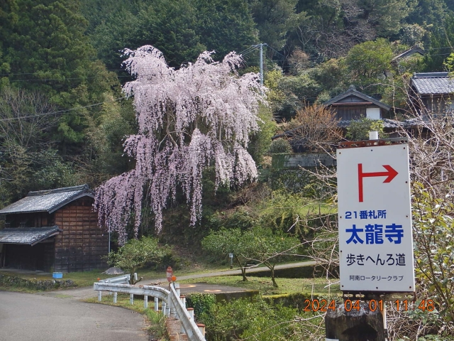 遍路道にて