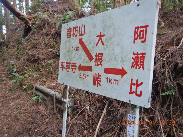 平等寺まで間に合わず