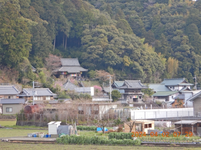 平等寺が見える