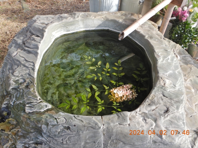 平等寺にて