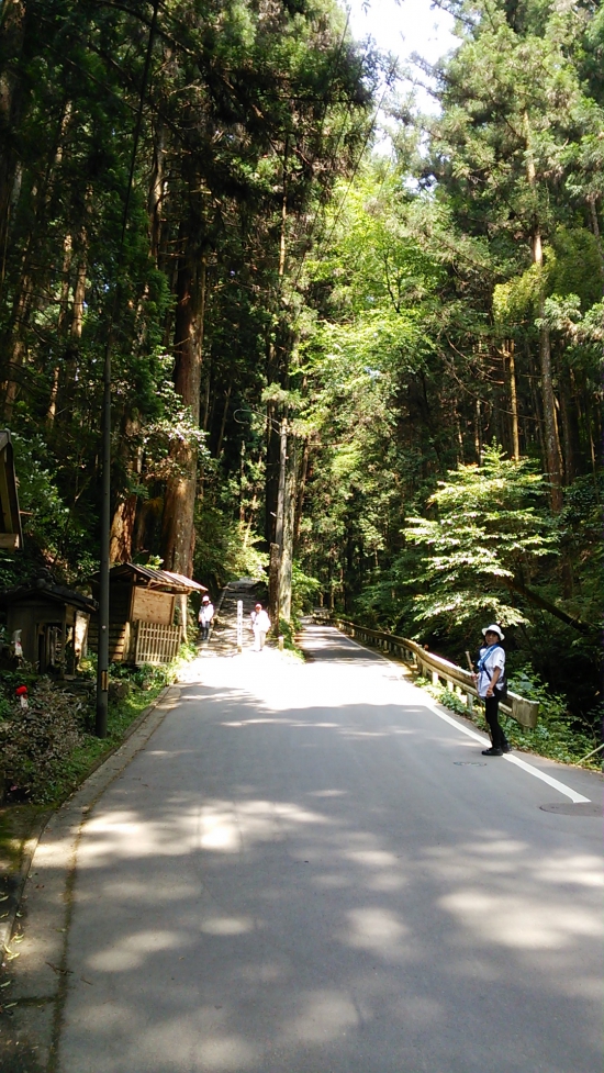 左の山道を頑張りましょう♪