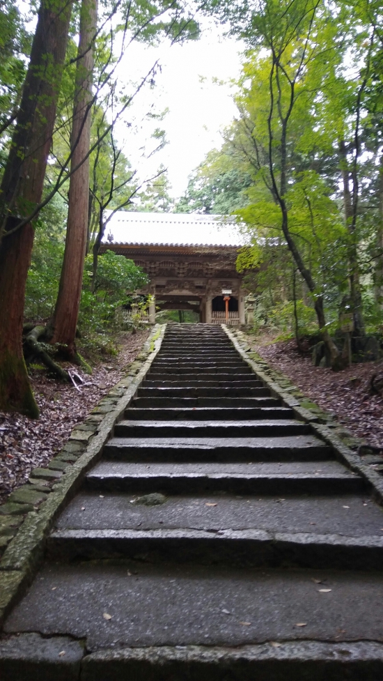 いつお参りしても心に残る興隆寺、次回はもみじの素敵に時期に来たいと思います。