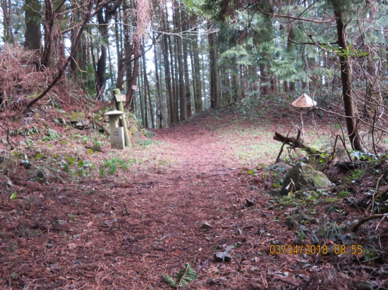 鳥坂峠です。見晴らしはありません。