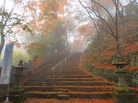 興隆寺参道は紅葉の絨毯でした。
