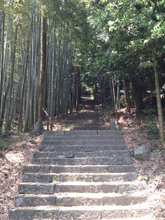 仁王様の門をくぐったら、風が吹いて、葉が桜が散るように舞い落ちて、とっても綺麗でした。