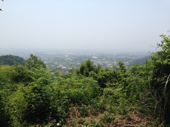 見えた町並み。景色綺麗でした。