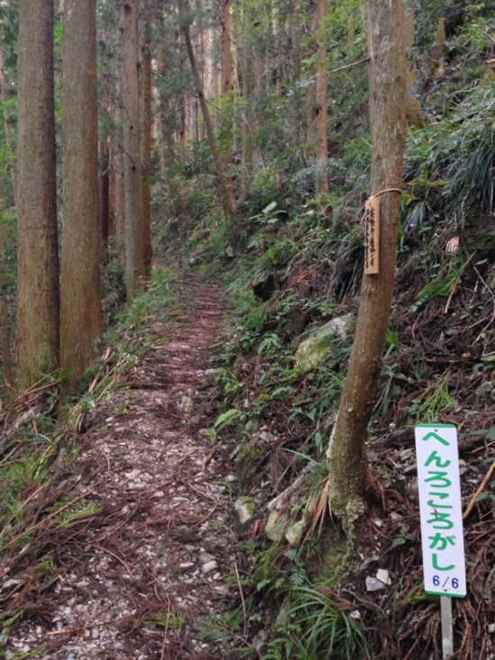 最後の遍路ころがし