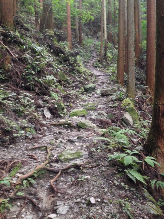 玉ヶ峠への登り道。完璧に遍路転がしでした。ここはキツかったです。。。