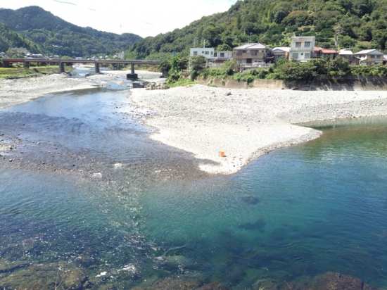 11:50　ふと見た川が綺麗でした。