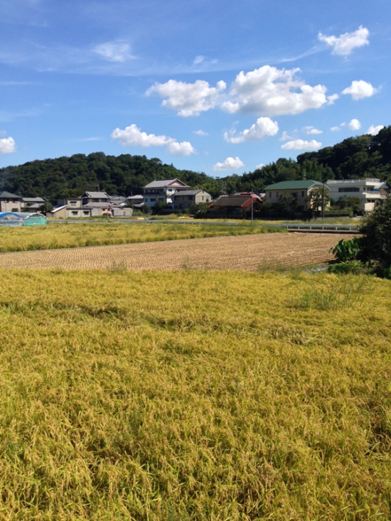 秋の気配