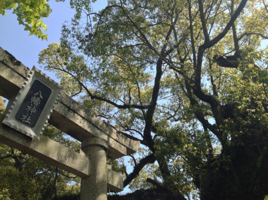 櫛渕八幡神社