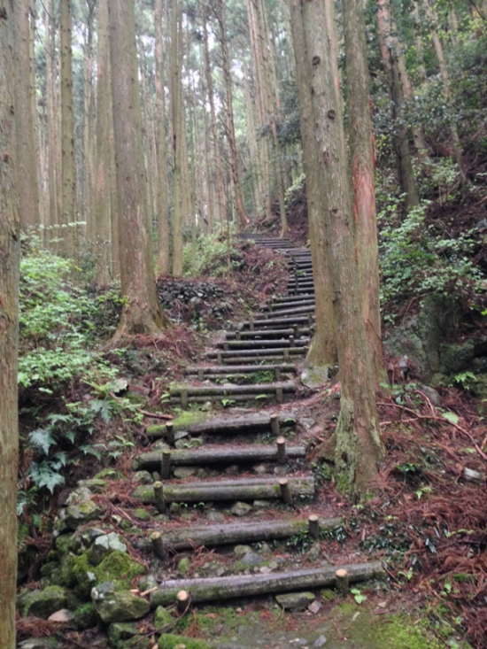 大根峠　キツイ登りでした