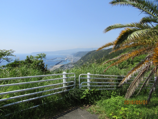 室戸岬、下り初めのよく見る写真、お陰様でややっと自分の目で見る事が出来ました、感謝です。