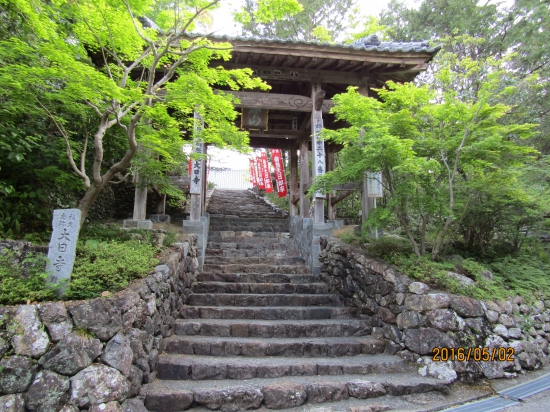 朝６時半ごろの大日寺、気持ちの良い朝です。